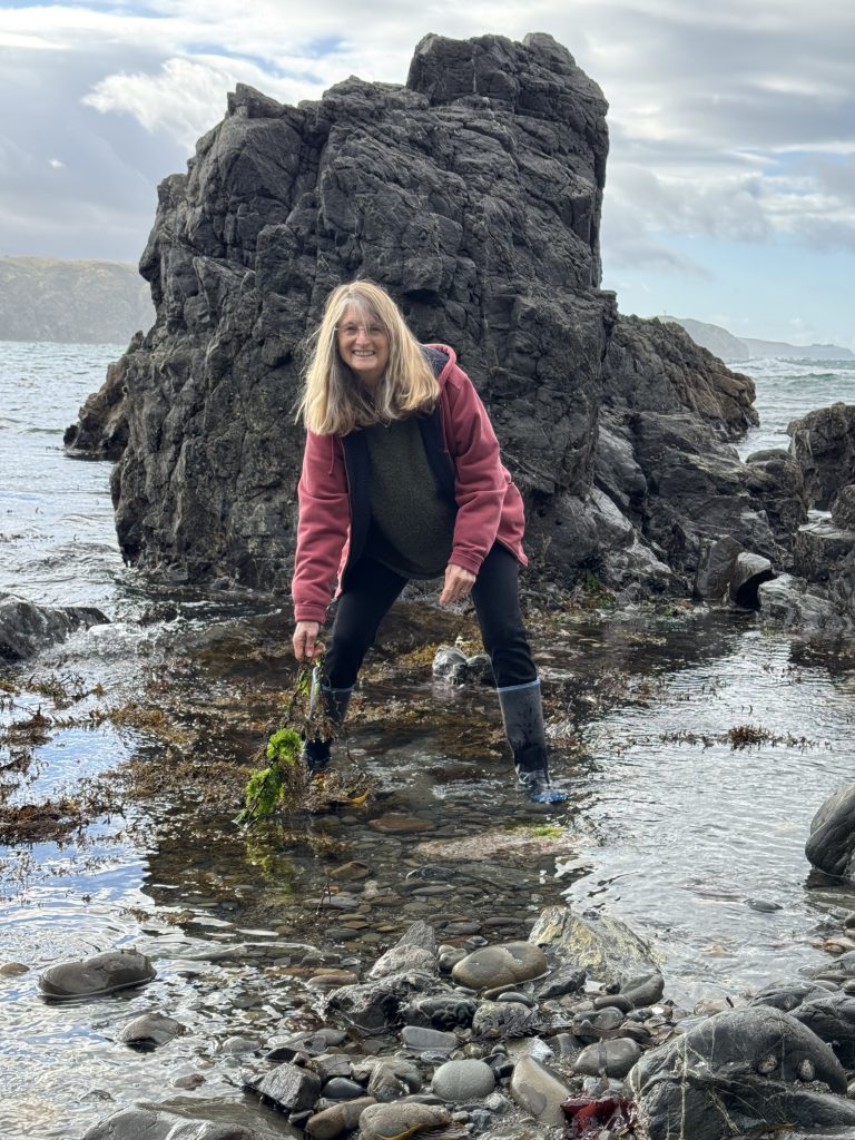 Chris Simon at Breaker Bay, Wellington, NZ looking for Physalia.