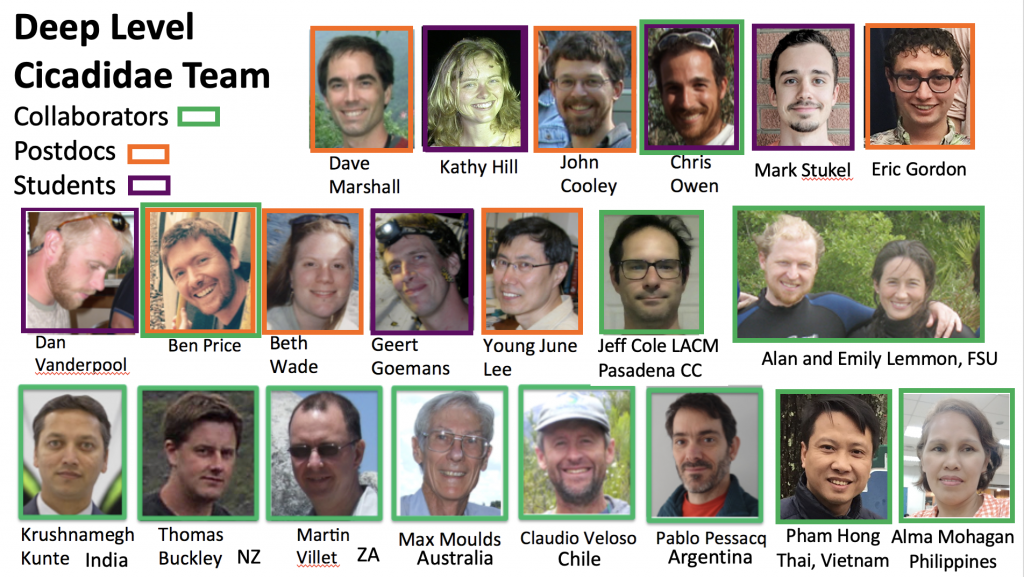 Deep Level Cicadidae Team wi.th color codes to identify collaborators, Postdocs, and students