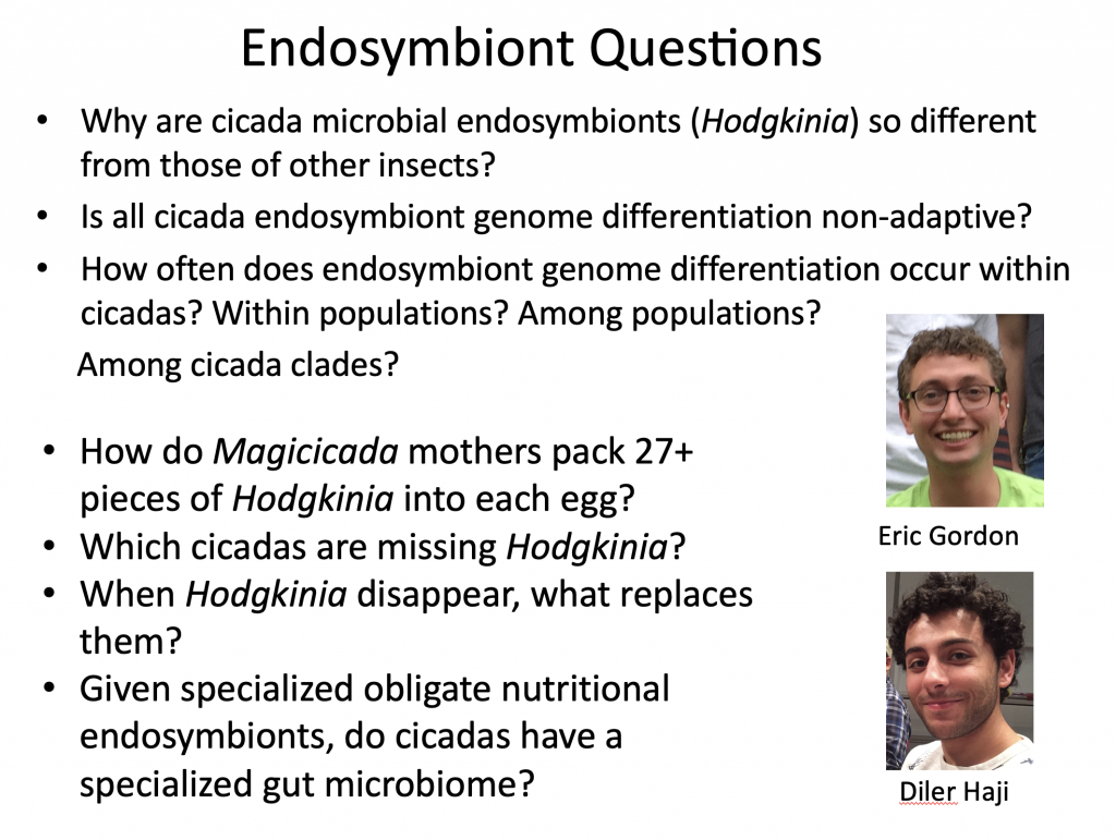 Endosymbiont Questions.