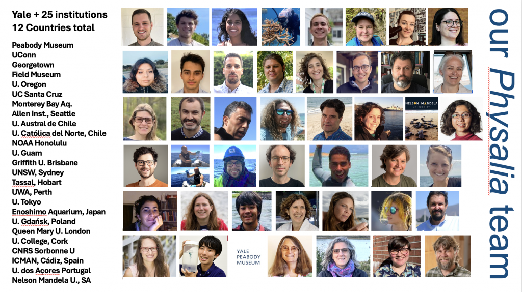 Photos of participants in the Physalia global phylogenomics team.