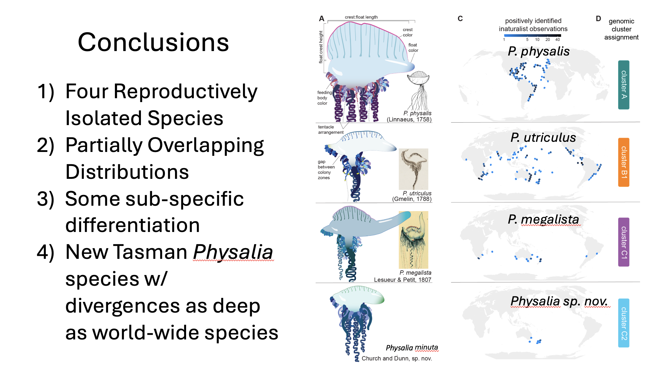 Physalia conclusions.